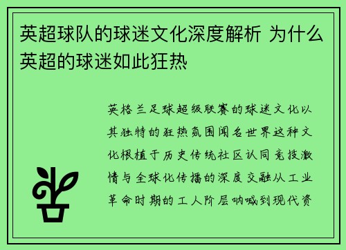 英超球队的球迷文化深度解析 为什么英超的球迷如此狂热