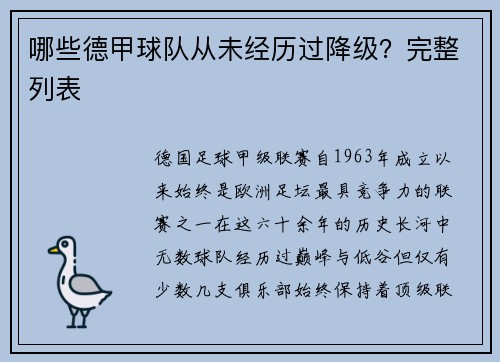 哪些德甲球队从未经历过降级？完整列表